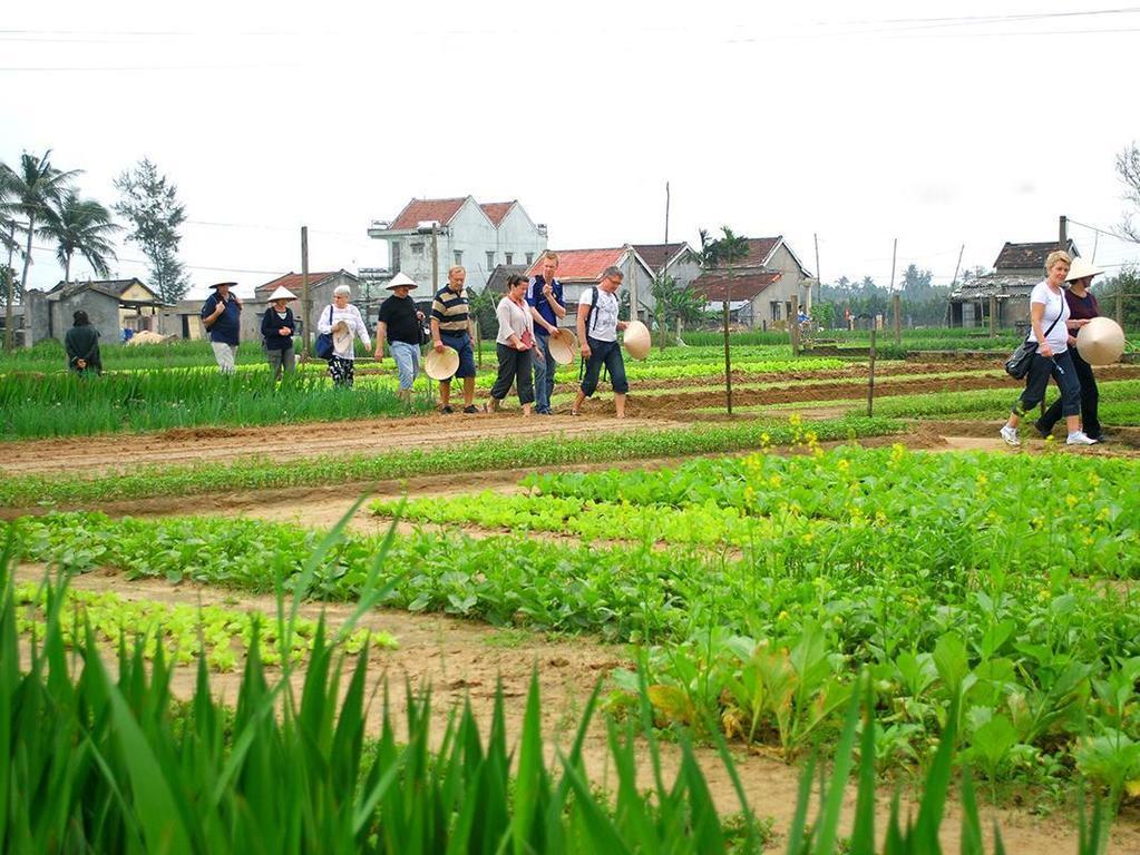 Green House Homestay Hoi An Exteriér fotografie